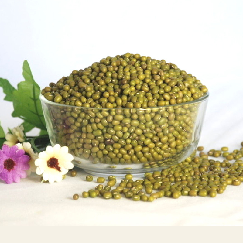 Agricultural crop green mung bean buyers with lower price