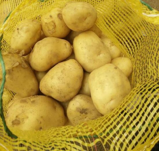 Свежий новый урожай китайский картофель с картонной упаковкой