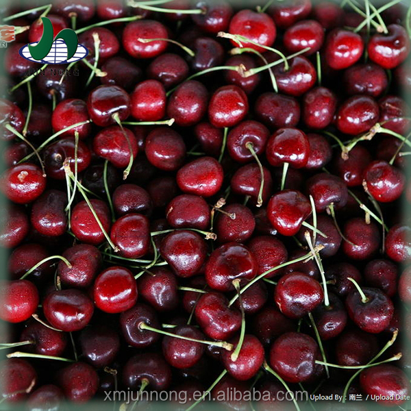 Известный бренд вкусные консервы вишня свежие