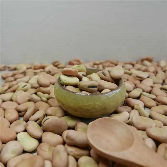 Dried Broad Beans Bulk Dry Fava Beans