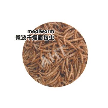 Печь Сушеные Mealworm