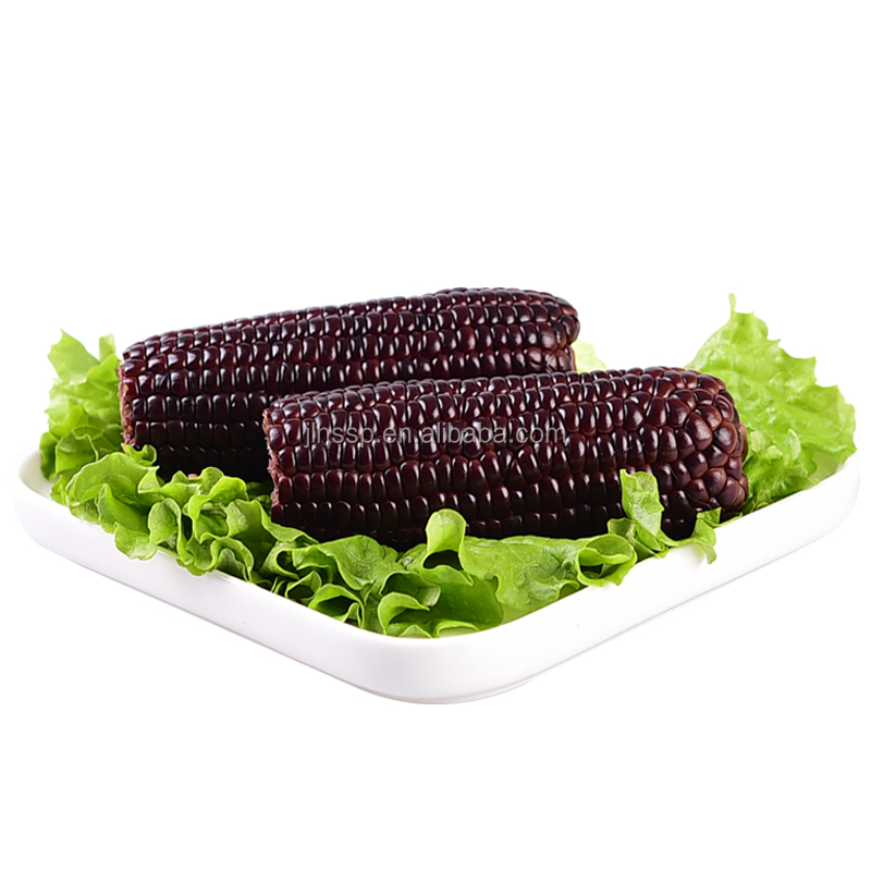 Черная Клейкая кукуруза на Cob