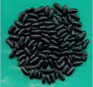 2014 new china black bean