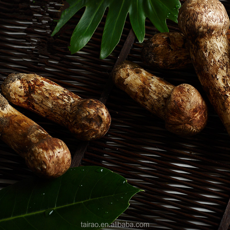 Оптовая продажа грибов ценам Tricholoma Matsutake дикий мацутакэ