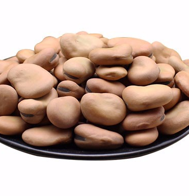 Высокое качество сухая широкая фасоль fava Bean