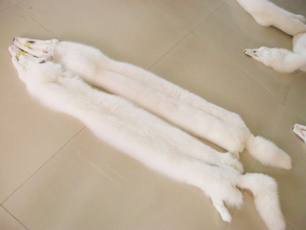 Fox Fur Scarves