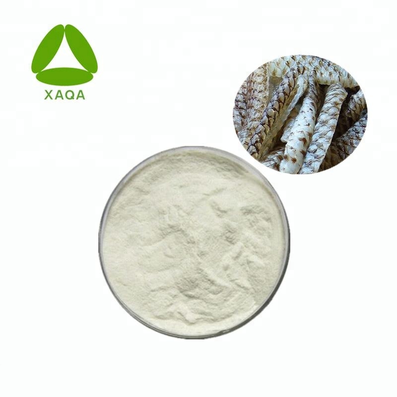 Anti-aging рыбьей кожи коллагена порошок