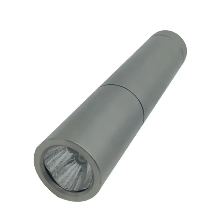 Kinreen New Product Red Light Therapy Flashlight