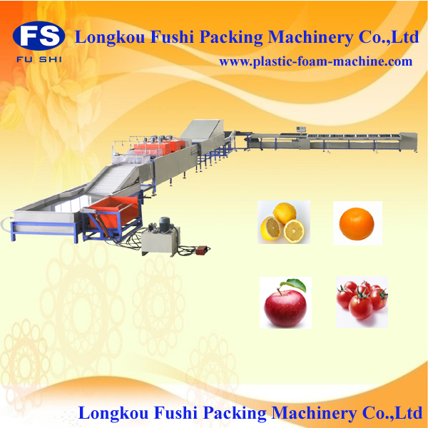 electronic fruit grading machine