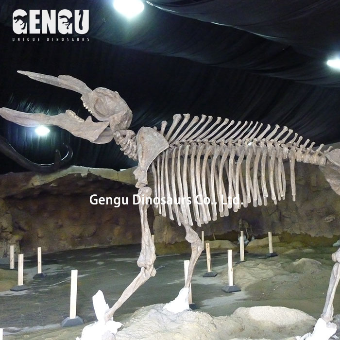 Museum Exhibition Fiberglass Animal Bones For Sale