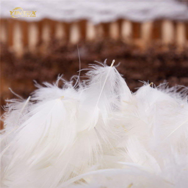 no smell duck feather Sofa cushion filling duck feather