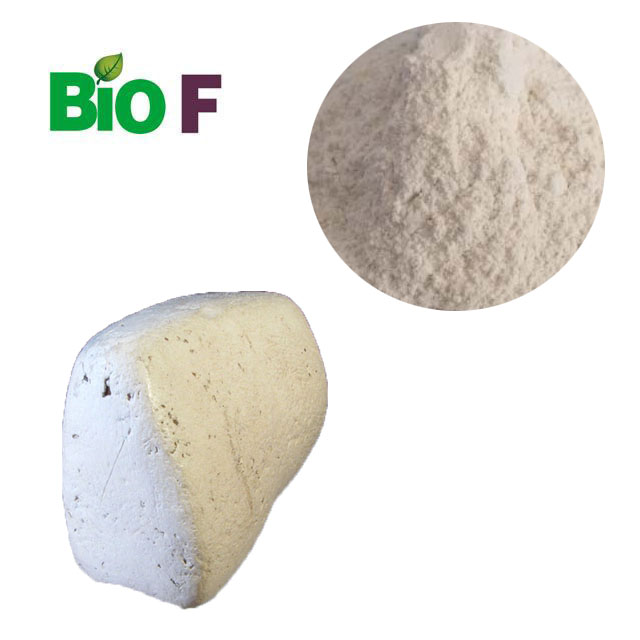 Поставка производителя и высокое качество Sepiolite порошок с низкой ценой