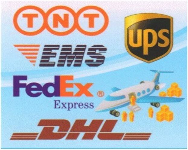 Доставка Aramex до двери из Китая посредством TNT/DHL/UPS доставка в Каракас в Венесуэлу/Шарлотта амалию на Виргинских островах