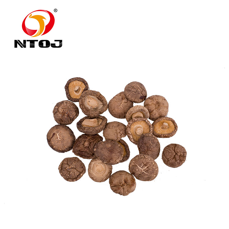 New 202 whole 1 Shirataki mushroom