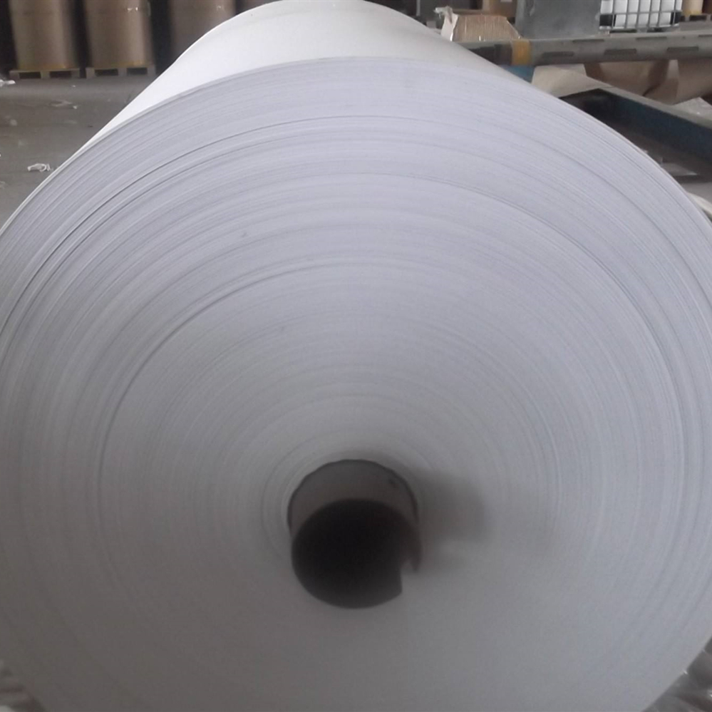 Китайский производитель 55GSM Термобумага Jumbo Rolls
