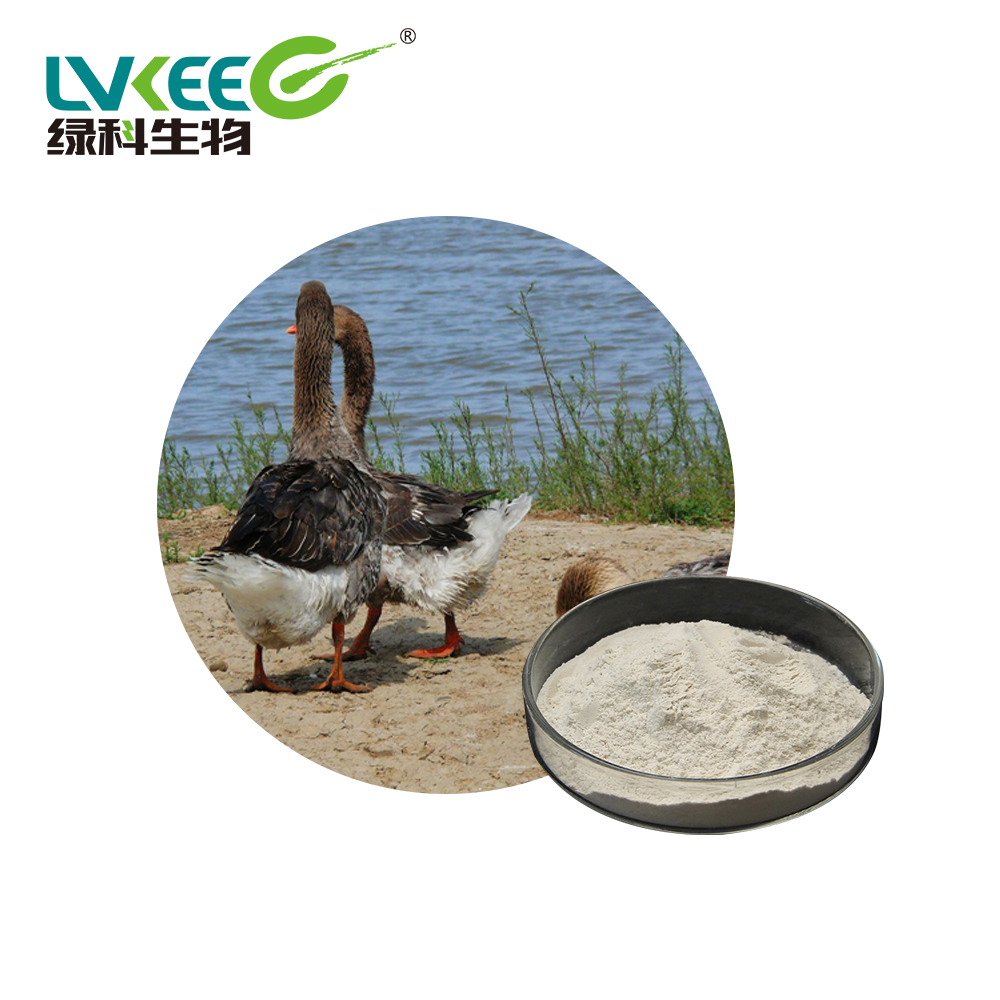 Кормовой фермент аквакультуры Bacillus subtilis для креветок, рыбоводства, кормовая добавка