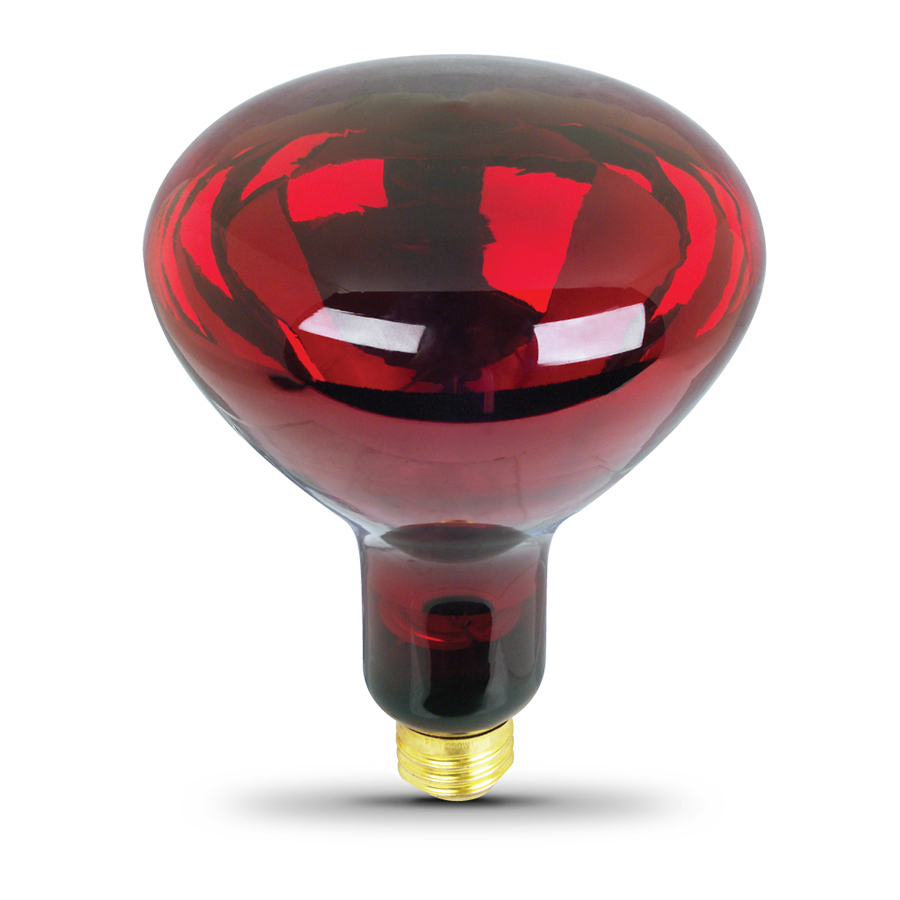 R95 R125(R40) 100w Far Infrared Heat Red Light Physical Therapy Lamp Bulbs for Medical