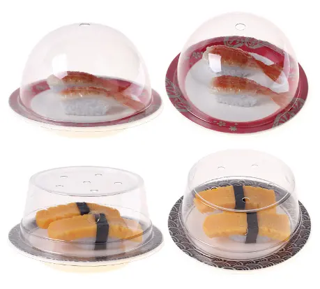 Japanese food tray custom logo design plastic tray dish sushi plate