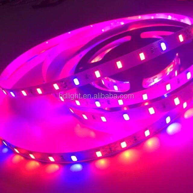 2018 12v dc smd 5730 Светодиодная Промышленная лента