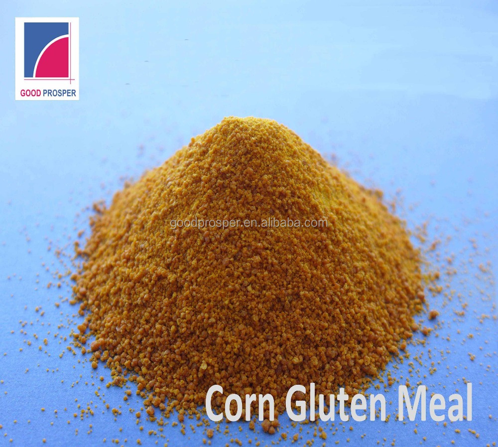 factory supply non gmo corn 60% protein maize corn gluten meal