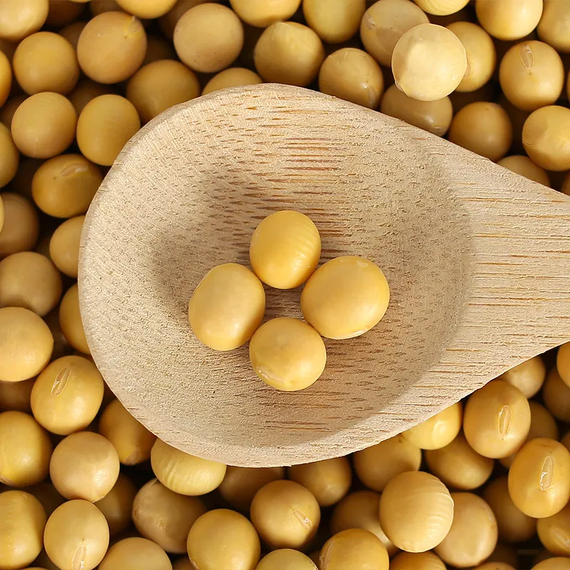 Soybean seed specification