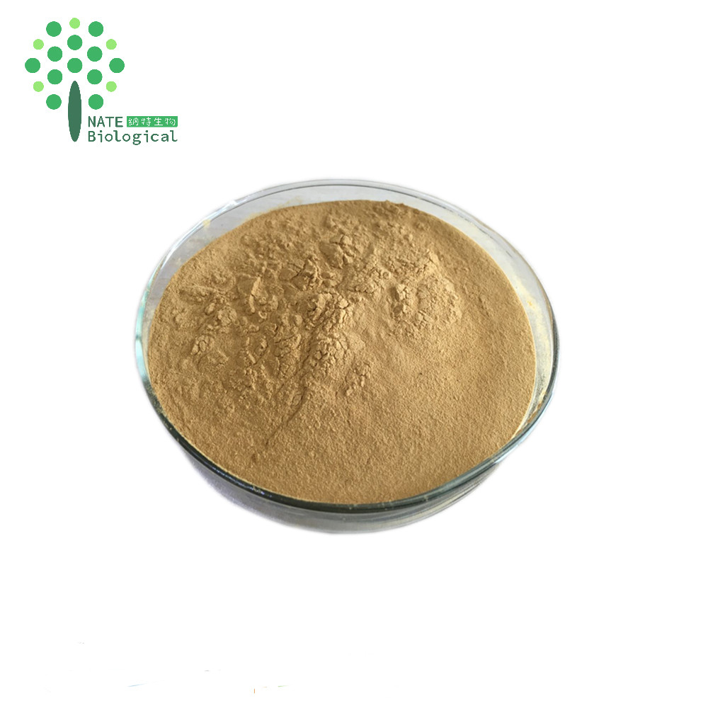 Органический экстракт agaricus blazei murrill, полисахариды, порошок оптом
