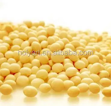 hot sale soya seed price
