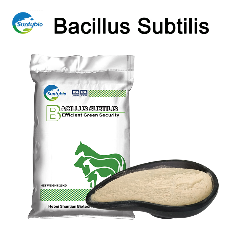 Заводская поставка, сырье Bacillus Subtilis для животных
