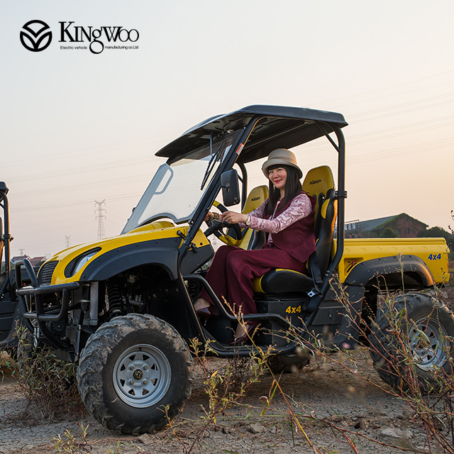 Дорожная Багги 4X4 с eec epa сертификат