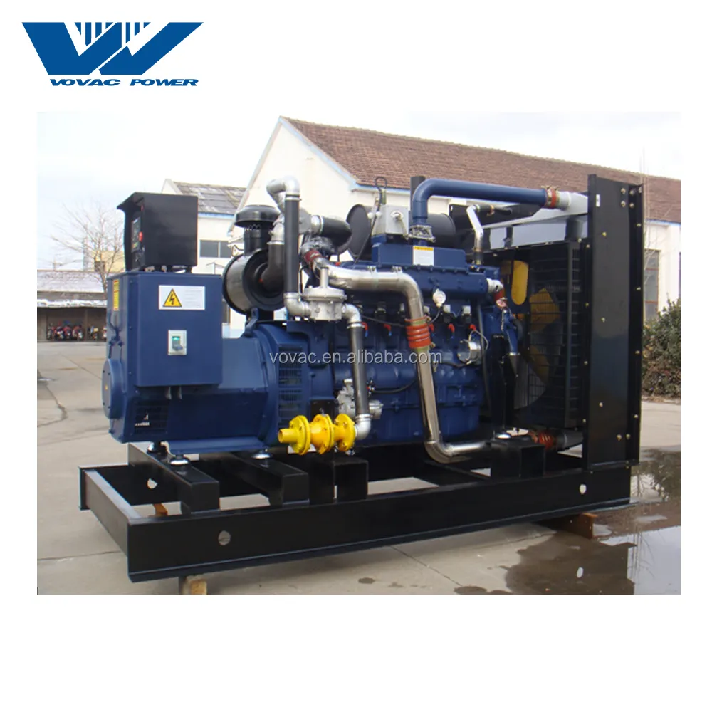 High Cost-effective 200kw Natural Gas/Biogas/Lpg Generator China Manufacturer