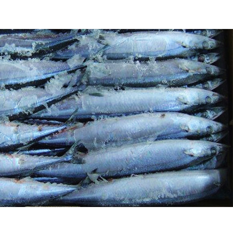 Цельная круглая морепродукция, Конская скумбрия, замороженная скумбрия
