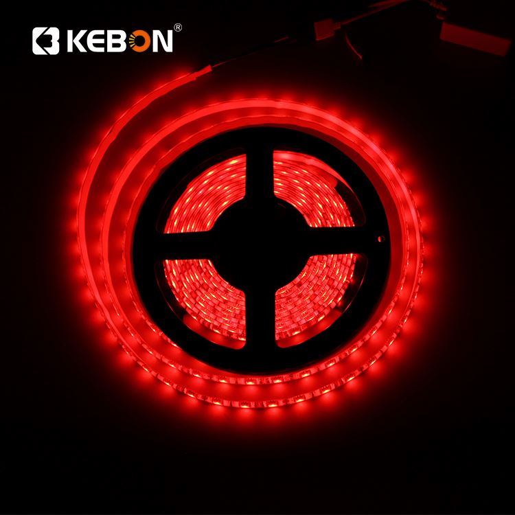 Оптовая цена SMD 5050 гибкая светодиодная лента dmx RGB 11 Вт DC 12 В