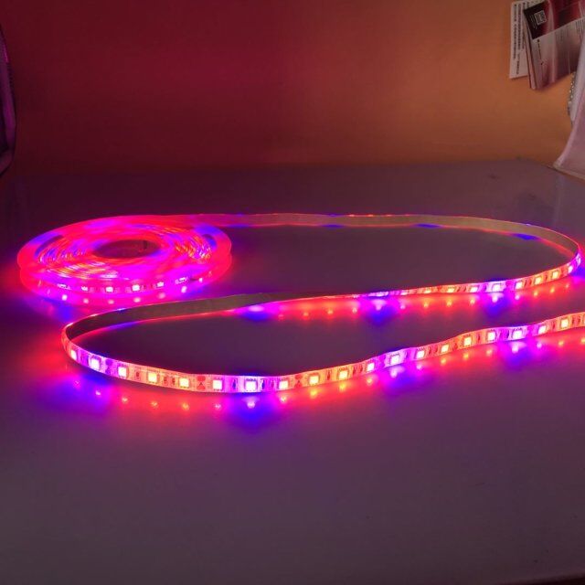 HOUDE освещения! 635 нм 660nm 465nm 450nm SMD 5050 5red 1 синий Apollo растет свет