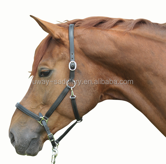High quality leather horse halter and leadrope