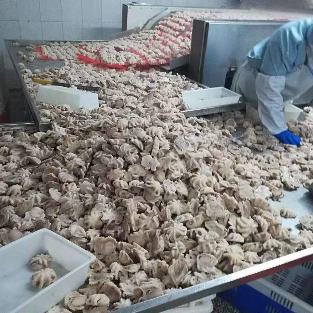 Замороженный Осьминог цена замороженный осьминог