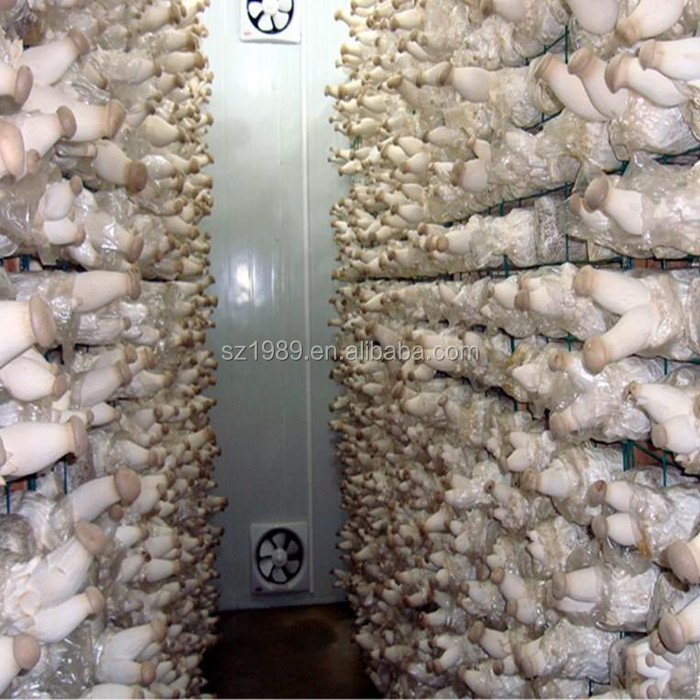 Компрессор для холодильного оборудования HVAC, конденсаторная установка, проект холодного хранения для выращивания грибов