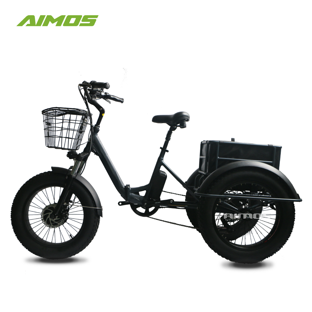 AMS-TDE-TC 250w-750w 20 "* 4,0 fat tire mountain electric pedicab
