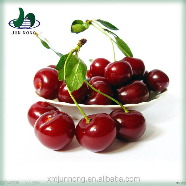 Новое поступление Органические свежие консервы Cherry