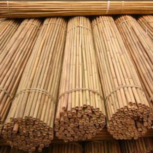 Натуральные сухие бамбуковые палочки для продажи