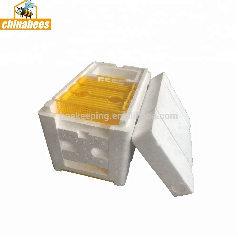 Apidea Mating Nuc bee hives на продажу мини пенополистирол коробка с пчелами Пчеловодство стартовый набор ESP спаривание коробка с пчелами