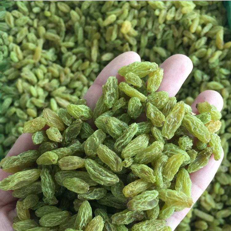 Bulk Packing Xinjiang Green Raisin for Sale