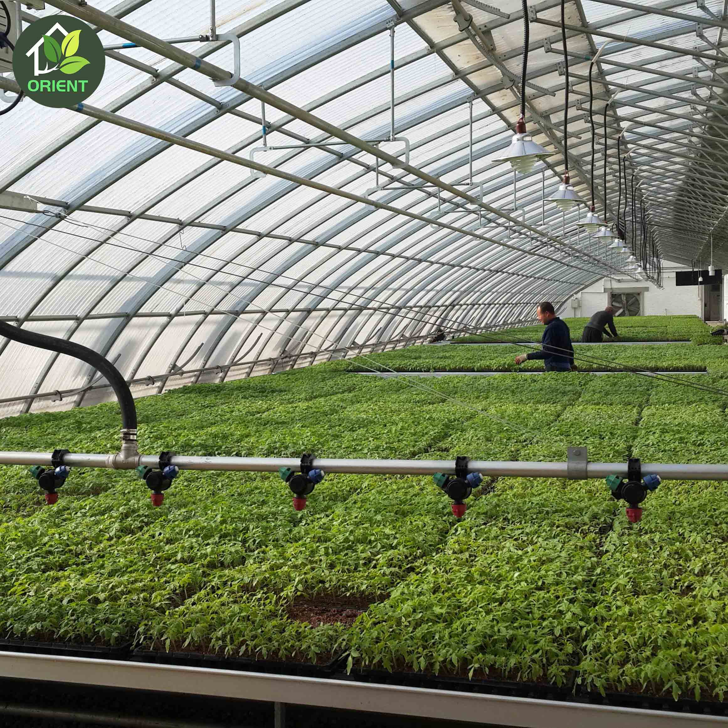Энергосбережение Солнечная пленка покрытие aquaponics парниковых