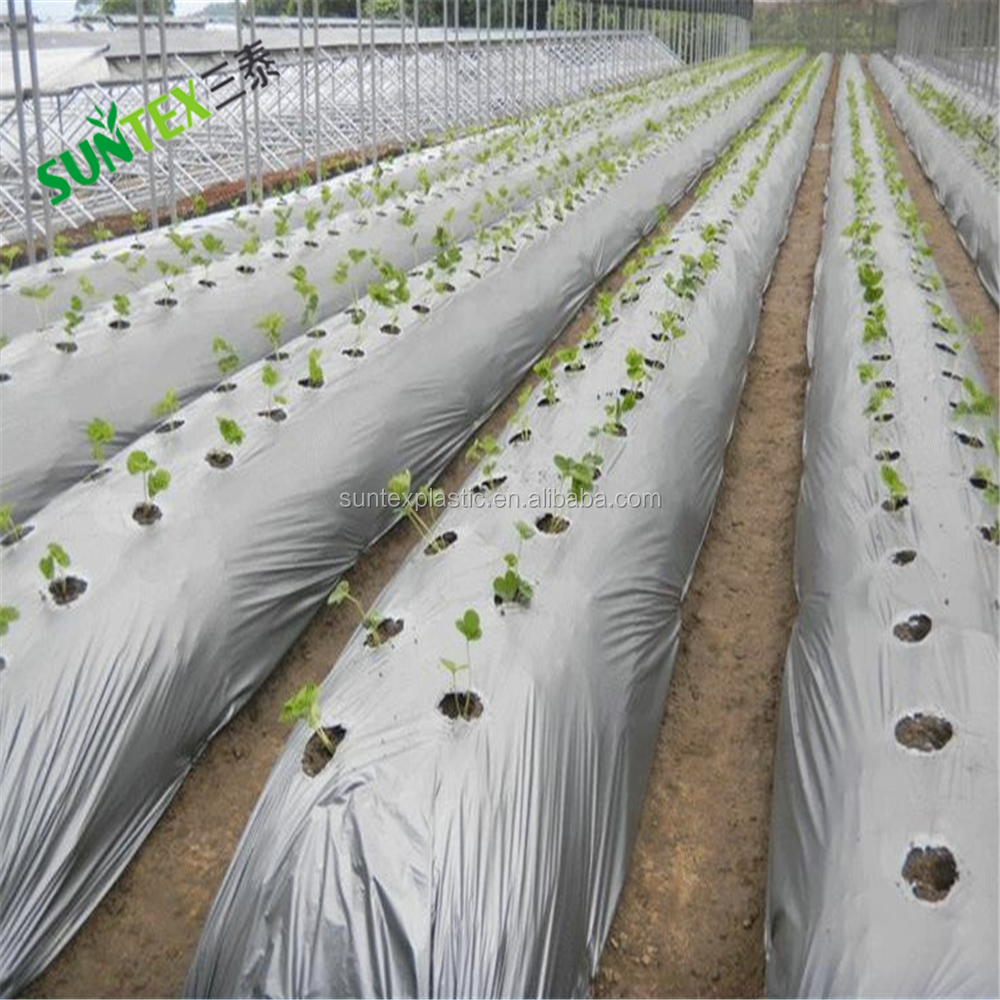 Поставка 1,0 мил пластиковая Mulch пленка сельское хозяйство пластиковая черная и серебряная mulch пленка с отверстиями для клубничных культур