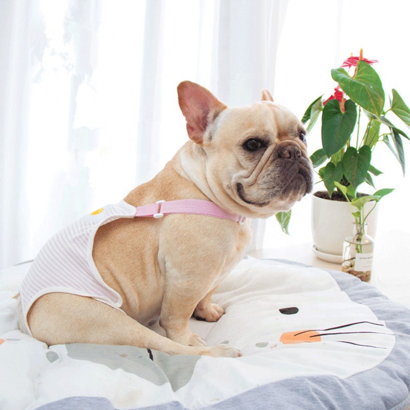 Hot sale patent design cotton soft quality sanitary napkin washable strap clothes healthy dog diaper female
