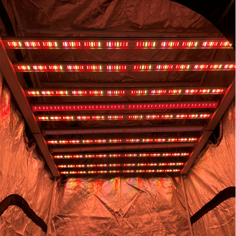 DLC ETL одобренный Sunritek MH8 660W led grow light с полным спектром 2,7 umol/j