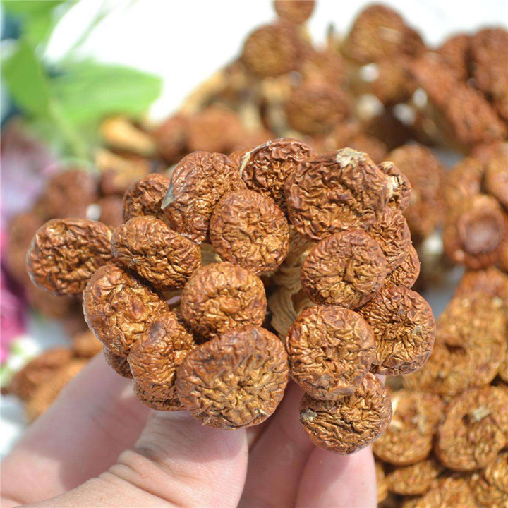 Сушеные Nameko гриб