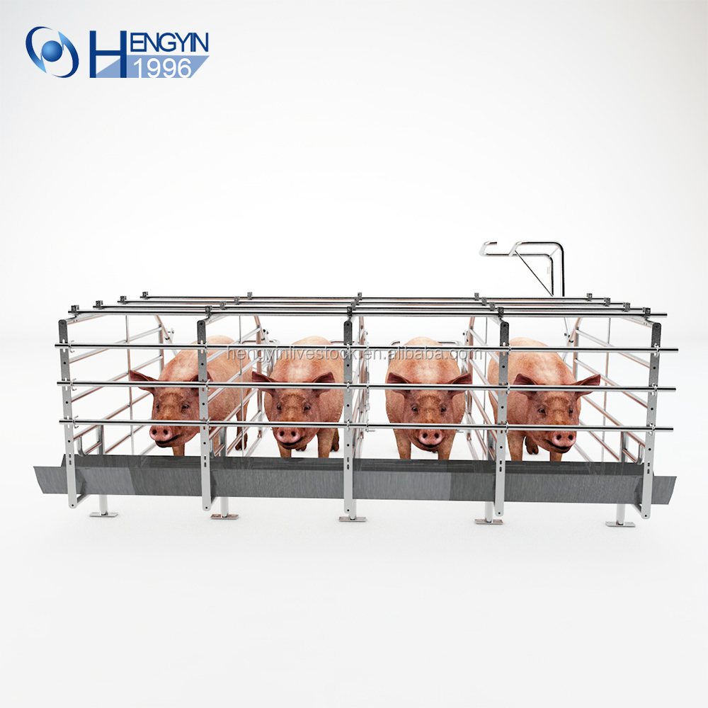 Hengyin, новый дизайн, Прямая продажа с завода, ящики для беременности свиней на продажу