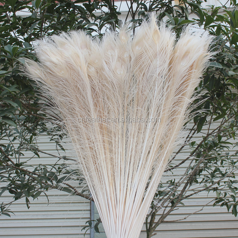 Wholesale Blenched White Peacock Feather 40-45inch Artificial Peacock Feathers