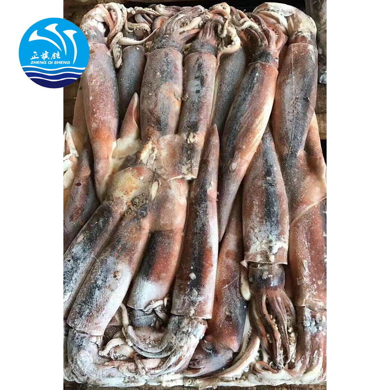 Замороженный гигантский кальмар Illex, Аргентина