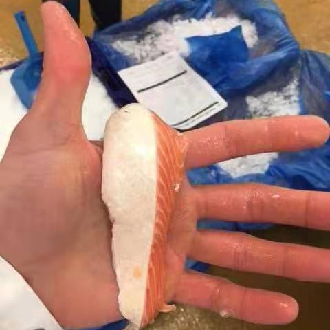 Сальмо Салар для живота, рыбное мясо